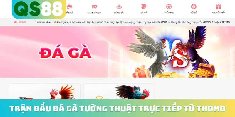 Trang chủ 18 Trận đấu đá gà tường thuật trực tiếp từ Thomo